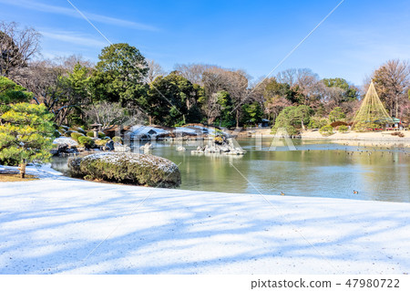 Tokyo Rinkuen in winter 47980722
