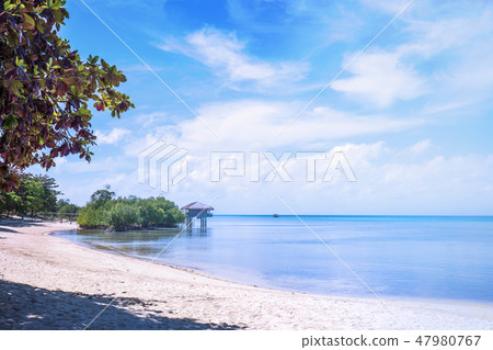 Shatan Sea Nada Chairs Holidays beach vacation skyline Vacation beach Shatan Sea Nada Chairs Holidays beach vacation skyline Vacation beach 47980767