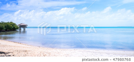 Shatan Sea Nada椅子假期海灘假期天際線假期海灘 47980768