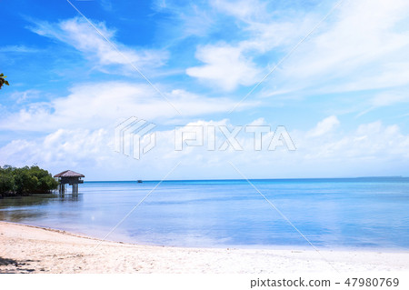 Shatan Sea Nada椅子假期海灘假期天際線假期海灘 47980769