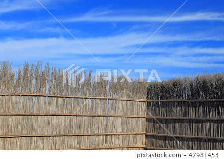 A scenic view of Wajima A scenic view of Wajima 47981453