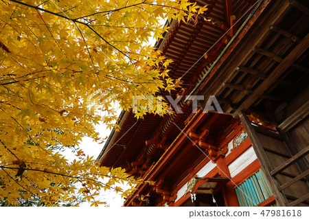 奈良縣Yara Yoshino Moisture Shrine 47981618