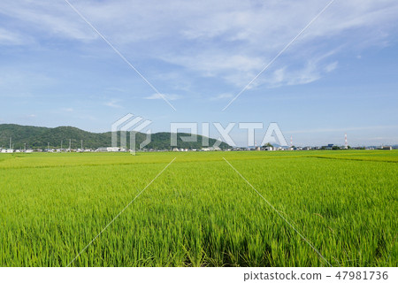 岡山 岡山 47981736