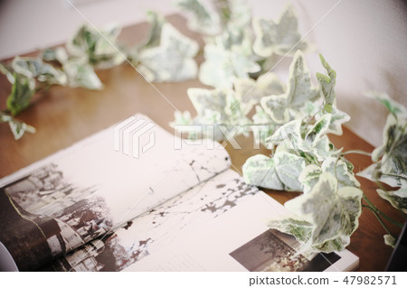 住房形象 住房形象 47982571