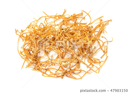 Dried mushrooms 47983150