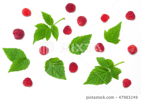 raspbarry raspbarry 47983249