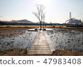 Winter sea and land meet 47983408