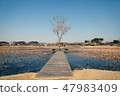 Winter sea and land meet 47983409
