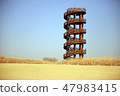 Siheung Ecological Park 47983415