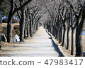 Siheung Ecological Park 47983417