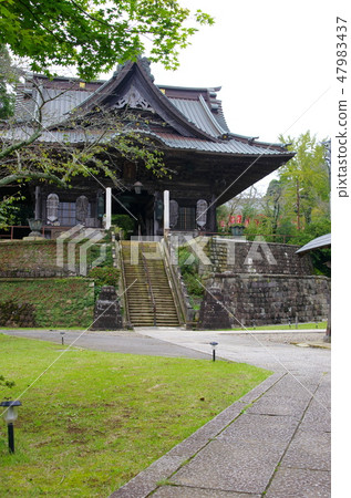 Shibayama Nishio Tadashi Niobon (Shibayama Town, Chiba Prefecture) 47983437