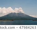 櫻島（電影） 47984263