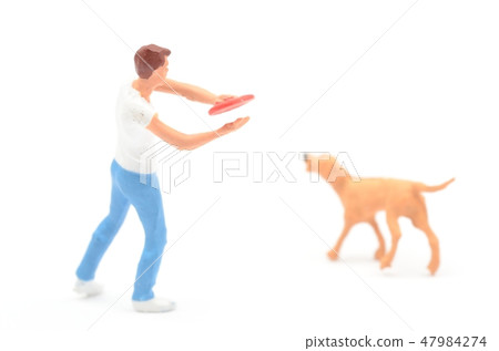 飛盤 47984274