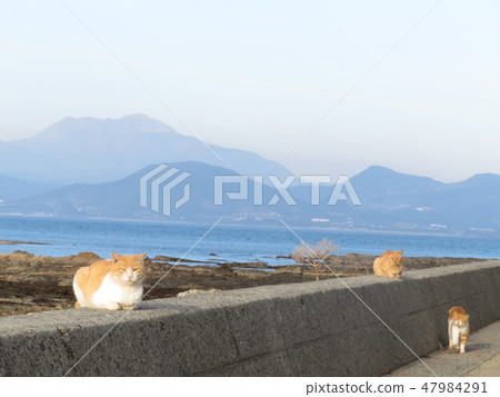 Kakujima Amakusa City熊本縣 47984291