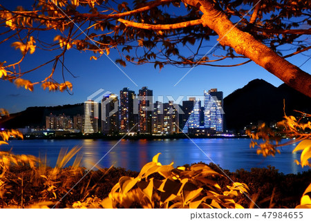 Night view of the Bali in Tamsui riverbank Night view of the Bali in Tamsui riverbank 47984655