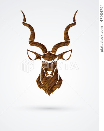 Kudu head front view graphic vector. 47984794