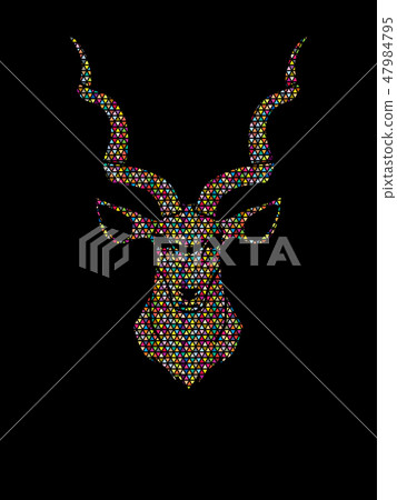 Kudu head front view graphic vector. Kudu head front view graphic vector. 47984795