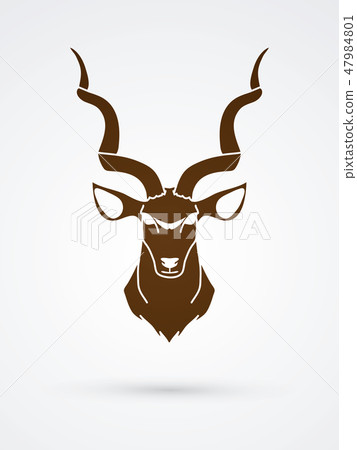 Kudu head front view graphic vector. 47984801