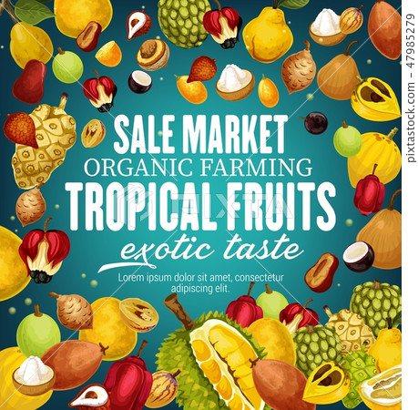 Tropical vector fruits, exotic food 47985279
