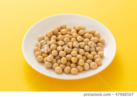 大豆 47986507