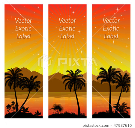 Labels with Palms Labels with Palms 47987610