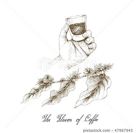 Hand Holding A Shot of Coffee with Coffee Blossoms Hand Holding A Shot of Coffee with Coffee Blossoms 47987943