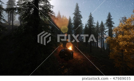 campfire at mountain rorest at night 47989035