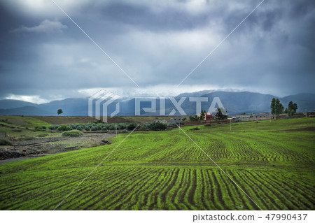 Green fields in foothills of the Atlas Mountains i Green fields in foothills of the Atlas Mountains i 47990437