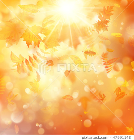 Autumn background with natural leaves and bright sunlight. EPS 10 47991148