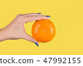 female hand holding big orange ripe mandarin 47992155