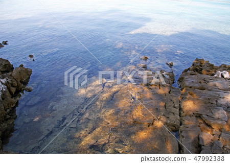 Mali Losinj,Croatia,details,end of summer,30a 47992388