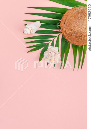 Palm leaves and coconuts on pink pastel background Palm leaves and coconuts on pink pastel background 47992960