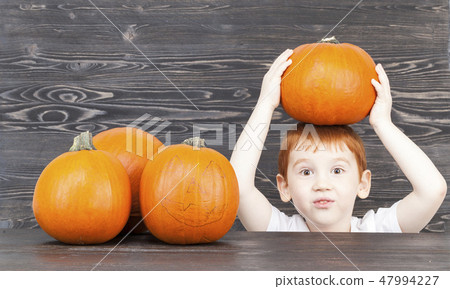 A red-haired boy with red pumpkins A red-haired boy with red pumpkins 47994227