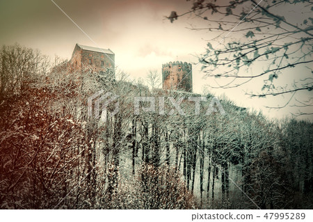 View at medieval castle with forest and snow around View at medieval castle with forest and snow around 47995289