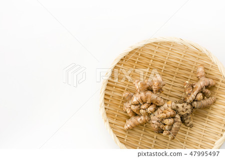 春薑黃 春薑黃 47995497