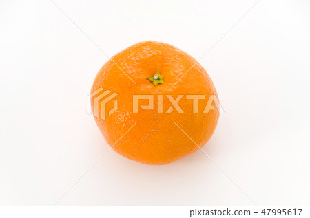 Wenzhou oranges 47995617