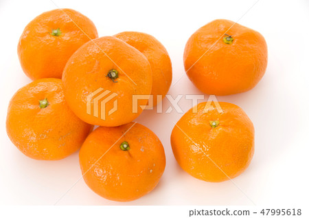 Wenzhou oranges 47995618