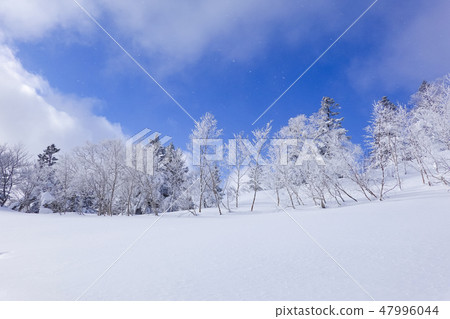 Snowy field and fog ice and wind 6 Snowy field and fog ice and wind 6 47996044