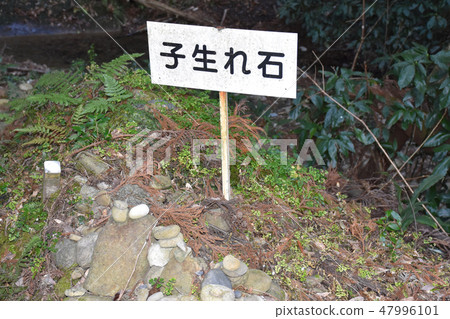 Child born stone Seogwipo Seven Wonders 47996101