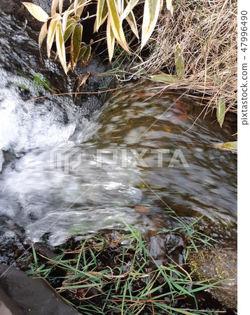 Color "Flow" at the river (registered in 2019) Maximum size: XL Color "Flow" at the river (registered in 2019) Maximum size: XL 47996490