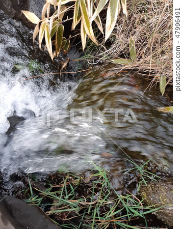 Color "Flow" at the river (registered in 2019) Maximum size: XL 47996491