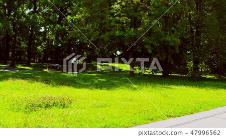 Unknown man cycling along park bike path 47996562