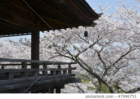 Spring Mitsuji Temple moon stage 47996751