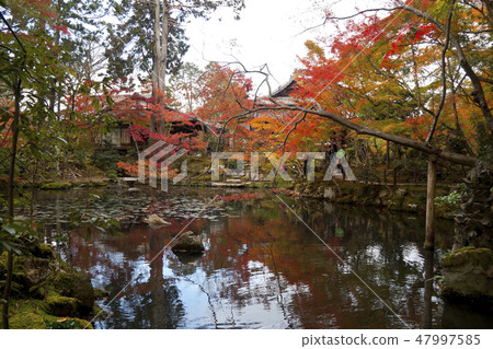 [Kyoto Prefecture] Nanzenji Temple Autumn leaves at Tenchu-an 47997585