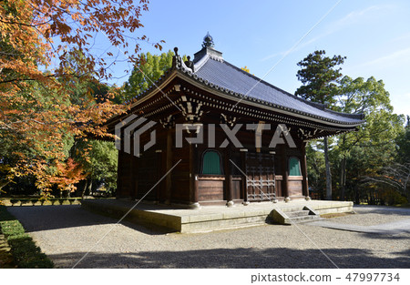 Ninnaji temple entrance of autumn Ninnaji temple entrance of autumn 47997734