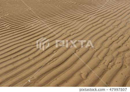 Sand ripples Sand ripples 47997807
