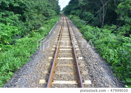 Scenery of Daigaku Line Scenery of Daigaku Line 47999030