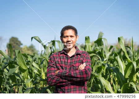 Asian farmer smiling in corn field 47999256