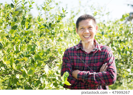 Asian farmer arms crossed in lime fruit garden 47999267