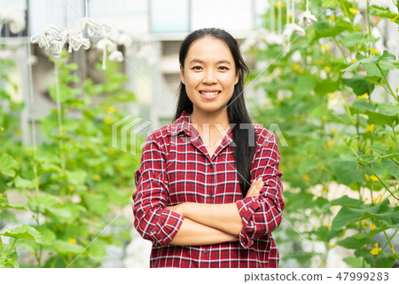 Asian woman farmer standing in melon farm Asian woman farmer standing in melon farm 47999283